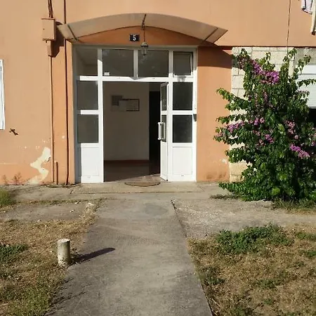 Lily Zadar